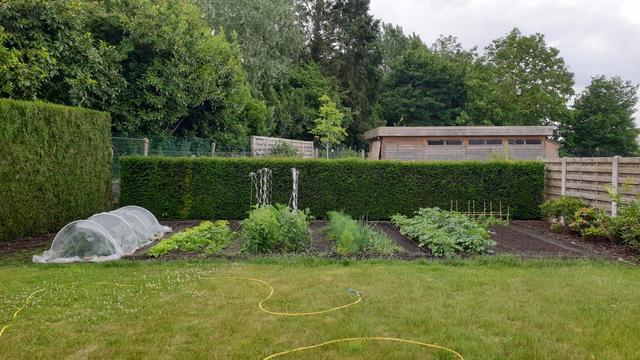 Overview of garden