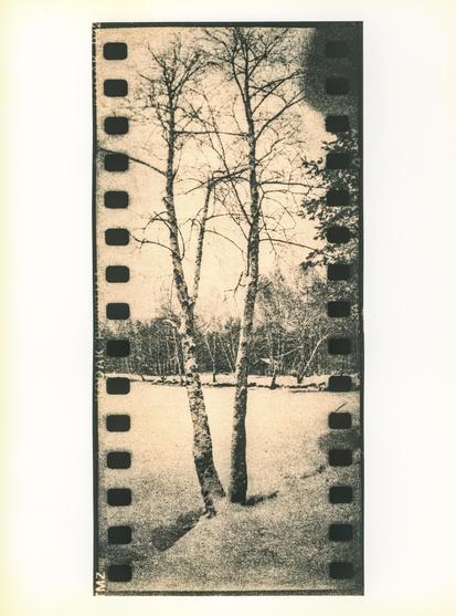 This image is a lith print made on vintage photographic paper, showcasing the distinctive gritty, high-contrast aesthetic typical of the lith printing process. The photo itself was shot using a Lomography Sprocket Rocket — a plastic-bodied panoramic camera known for exposing the film sprockets, which are clearly visible along the edges of the frame.

The scene depicts a quiet, wintry landscape with two tall birch trees prominently in the foreground and a grove of more trees in the background, lining a frozen and snow-covered lake. The image has a warm, sepia tone with pronounced grain and shadow detail, characteristic of expired or old photo paper processed in lith chemistry. The sprocket holes and film edges contribute to the image's analog charm and experimental aesthetic.