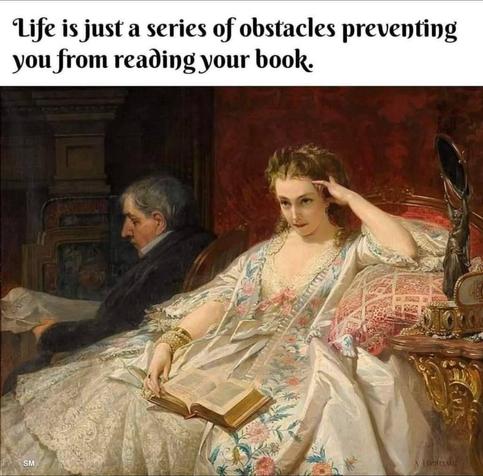 An old painting of a woman with an open book in her lap looking slightly annoyed.
Caption: Life is just a series of obstacles preventing you from reading your book.