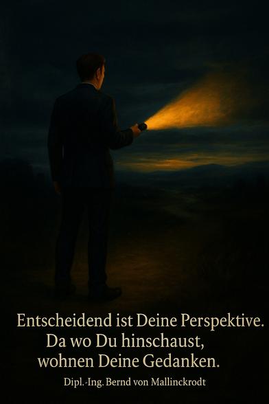 Ein einsamer Mensch steht inmitten einer düsteren, nebligen Landschaft. In seiner Hand hält er eine Taschenlampe, deren Licht einen warmen, goldenen Kegel in die Dunkelheit sendet. Er richtet den Lichtstrahl nach vorne – dorthin, wo die Silhouette einer helleren Welt sichtbar wird. Es ist, als würde sein Blick und seine Haltung entscheiden, wohin die Zukunft leuchtet.
Das Bild symbolisiert: In dunklen Zeiten reicht oft das Licht eines Einzelnen, um Hoffnung zu wecken – für sich selbst und für andere.

⸻

🖼️ Image Description (English):

A solitary figure stands amidst a dark, misty landscape. In his hand, he holds a flashlight, casting a golden beam into the surrounding shadows. The beam points forward – toward a distant silhouette of a brighter realm.
This image symbolizes that even in the darkest times, the light of a single person can illuminate a path – for themselves and for others.🖖
