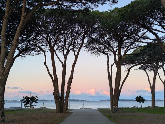 Pastel sunset sky above an urban harbour opening seen from a parkland walkway