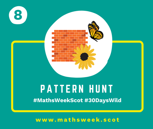 A colourful graphic with a green background and a yellow frame. Overlapping the top of the frame is a white circle with a picture of a brick wall, a butterfly and a sunflower. Inside the yellow frame are the words "Pattern Hunt" and the hashtags #MathsWeekScot and #30DaysWild. Under the frame is the Maths Week website URL.