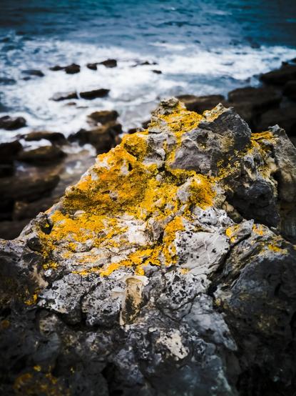 View of sharp rocks covered in yellow moss with wavy sea in the background.