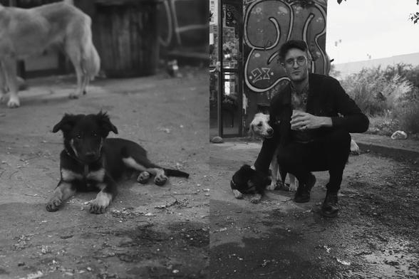 Deux photos en noir et blanc collées l'une à l'autre. A gauche celle d'un petit chien noir et beige tout choupi, sans race définie et qui regarde l'objectif, devant l'entrée de Grrrnd Zero, juste avant un concert le 5 juin 2025. On devine un deuxième chien dans le fond. A droite ce même petit chien est caressé par le super graphiste Brulex, accroupi et souriant face à l'objectif. Le deuxième chien se tient derrière, on voit sa tête qui dépasse tandis qu'il se blottit tendrement contre le dos de Brulex. Beaucoup de love.