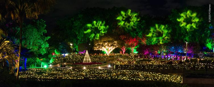 An extensive and elaborate lighting display shone onto and entwined through the trees and shrubs in a parkland. Fairy lights carpet the ground, while green pinwheels spin in trees.