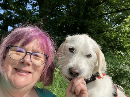 Woman with pink hair and white dog