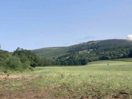 Field and mountain