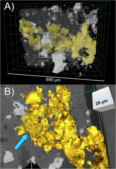 In A i silicati (grigi) sono semitrasparenti su sfondo nero e gli assemblaggi di solfuri-ossidi non connessi e le reti di fusione separate sono bianchi. La più grande rete fusa interconnessa (gialla) copre l'intero sub-volume con un diametro massimo di almeno 690 micrometri. Una vista più ravvicinata di un ritaglio in situ della stessa rete di fusione (riquadro tratteggiato, B) mostra che vene di fusione di dimensioni submicrometriche (freccia blu) sono percolate tra i grani di silicato per collegare i complessi di solfuro-ossidi vicini.