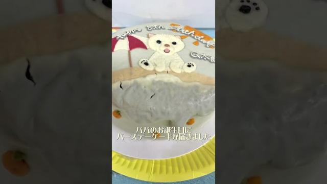 ワンちゃん用バースデーケーキしか見ていない誕生日犬