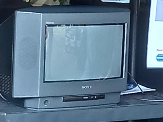Sony TV which had let the magic smoke escape