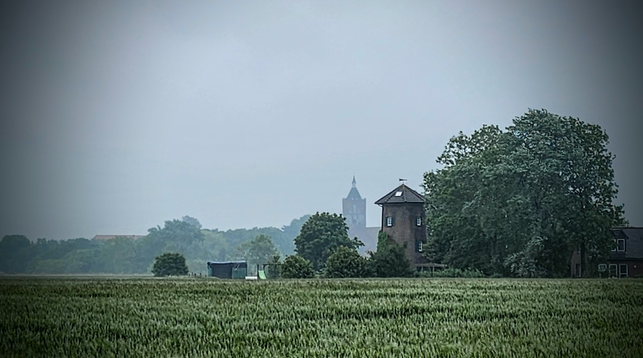 Ein Getreidefeld bei trübem Nieselwetter. Der Himmel ist grau verhangen. Neben einer Baumgruppe, die sich im starken Wind zur Seite neigt, steht ein sechs- oder achteckiger Turm - ggf. von einer ehemaligen Mühlen. Im Hintergrund ragt ein mächtiger Kirchturm aus dem aus dem Baumbestand eines Warftdorfes.