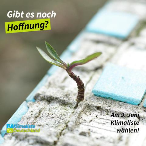 Schlagzeile in der linken Ecke: "Gibt es noch Hoffnung?" Das Wort "Hoffnung" ist durch eine frühlingsgrüne Box hervorgehoben. Das Bild zeigt den Trieb einer Pflanze. Links unten ist das Logo der Partei Klimaliste Deutschland zu sehen. Rechts daneben steht "Am 9. Juni Klimaliste wählen!"