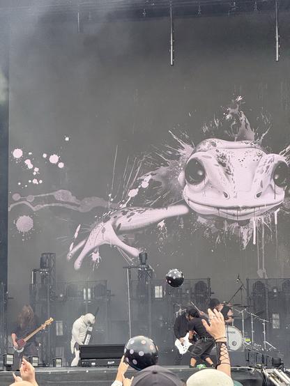 The image shows a live performance with musicians on stage. A prominent animated graphic of a large, stylized frog is displayed in the background, accompanied by colorful paint splashes. The audience is visible in the foreground, with raised hands and balloons.