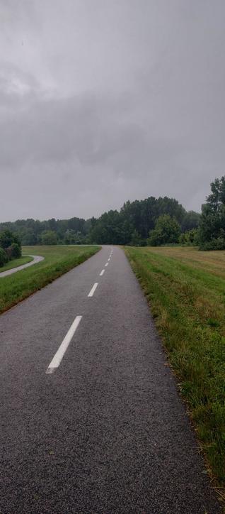 A deserted asphalt bicycle/inline skating road on an elevated dyke, surrounded by green grass and thick trees. It is about to rain, the dark grey clouds are gathering above.