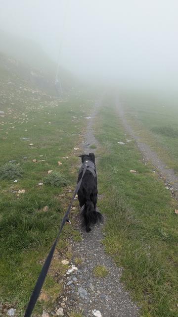 Paddy leading the way into the clag in a gravel/farm track. One of the times where the clag wasn't too thick