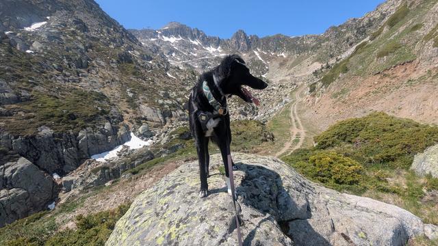 Paddy standing on a rock looking to the side. With a mountain range behind him, there's still some pockets of snow on the peaks, clear blue skies.