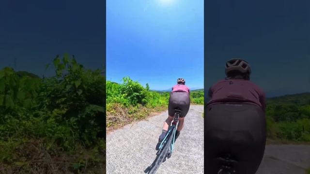 桜島の見える林道の帰り道#shorts