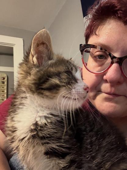 A scraggly tabby staring at a fat white woman in glasses.