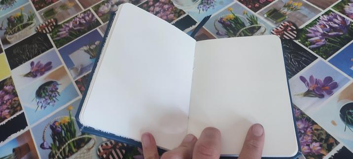 Inside of a moleskine like handm,ade notebook opened  showing internal pages