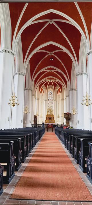 Middenschip van de Dom van Verden, het plafondgewelf rood geschilderd, de ribben en de muren wit, en de houten banken diep donkerblauw. Zicht richting het koor + altaar.
Helemaal boor in de banken zit 1 van de groepen die een rondleiding krijgen.