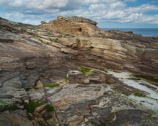 A rocky coastal landscape at Rumbling Kern, Howick, Northumberland, England, under a partly cloudy sky with vibrant blue patches. The scene features large, weathered sandstone formations with distinct layers and earthy tones ranging from light beige to deep brown. Patches of green moss and small tufts of grass grow in the crevices of the rocks, while delicate pink wildflowers add a splash of colour near the foreground. The calm sea is visible beyond the rocks, stretching to the horizon, creating a peaceful contrast between the rugged terrain and the smooth water.