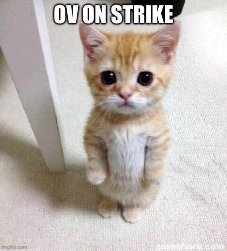 OV ON STRIKE
Cute cat meme