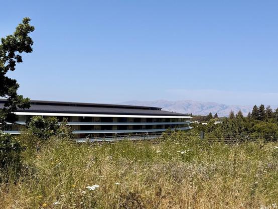 Looking across a meadow at Apple Park’s Ring Building, the Diablo Mountains hazy in the distance