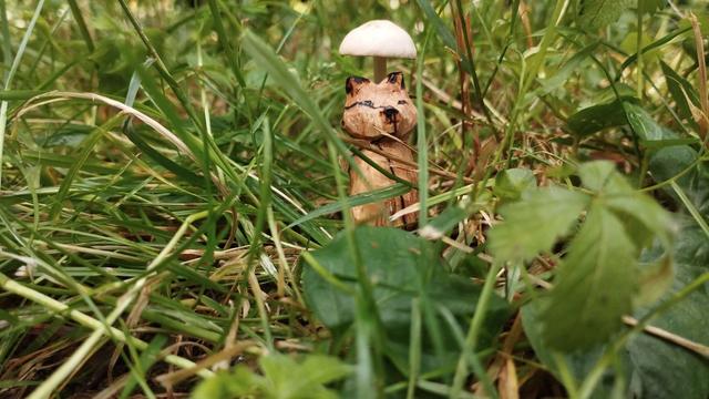 Photo d'un renard en bois qui s'abrite du soleil sous un champignon