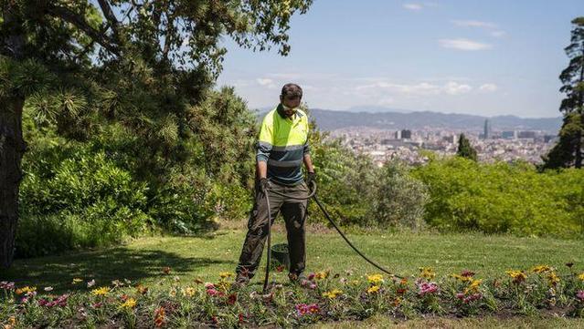 Les mesures d'excepcionalitat afecten el reg de parcs i jardins (Ajuntament de Barcelona/Mariona Gil)