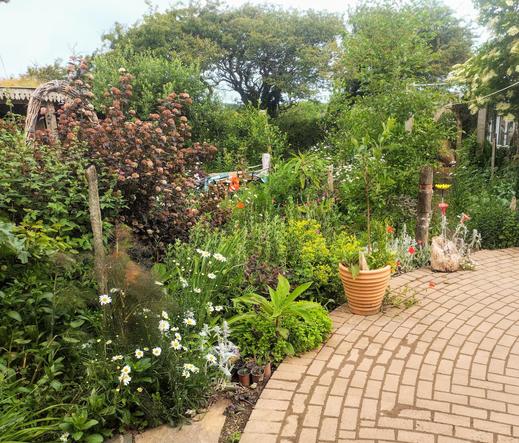 A photo of part of my back garden, as seen through the back door of the house.

At the lower right of the picture is the edge of a brick patio, with a circular boundary. Top left and far right are glimpses of sheds. The rest of the picture is taken up by plants.

As in the text, there isn't a huge variety of colour - there are some white ox-eye daisies in the foreground and a few red poppies - but the foliage is pleasing. There's a brown physocarpus in the middle ground, and some alchemilla mollis to the right of it. A young echium is plonked in the middle of the foreground also.