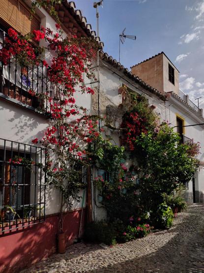 Fachada de una casa en el Albaycin. Está cubierta de plantas, algunas en unos tiestos azules y otras saliendo directamente del suelo. Las plantas crecen de forma desordenada. Hay una buganvilla enorme que cubre casi toda la fachada.
