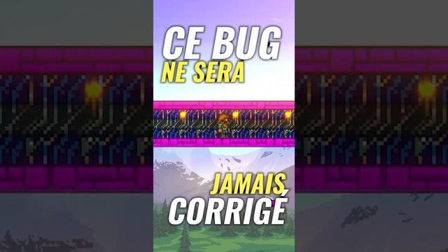 Le Glitch Terraria qui ne sera jamais corrigé