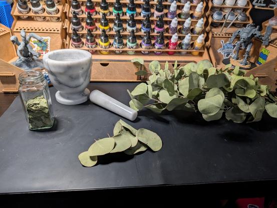 Photo of dried branches and whole leaves of eucalyptus next to a marble mortar and pestle, along with the glass jar partially full of crushed eucalyptus leaves.