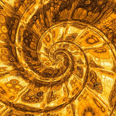 Sunday Spiral for Psychedelic Sunday

#SundaySpiral #PsychedelicSunday #DigitalArt #Spiral #SequinWorldDigitalArt