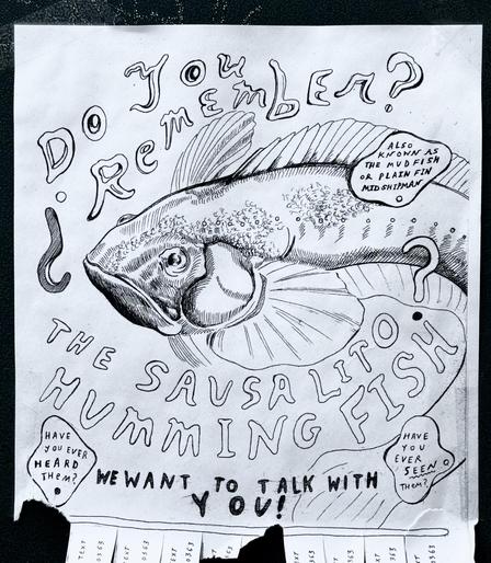 a poster with tear off phone number tabs. it has an elaborate drawing of a fish on it and says “do you remember the sausalito humming fish”