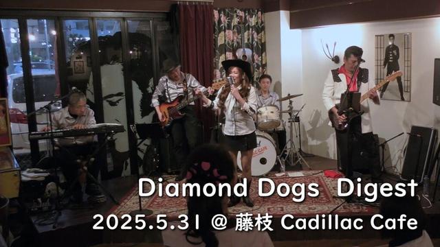 ダイジェスト / 藤枝 Cadillac Cafe_31May'25 / Diamond Dogs [ダイヤモンドドッグス]