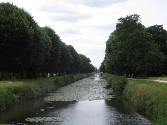 Canal du Berry aux milliers de nénuphars et d'arbres le long de ses rives