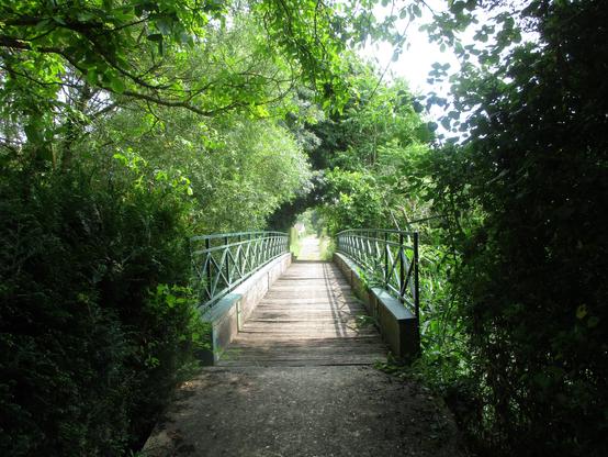 Passerelle à armature métallique et lattes en bois d'un sentier arboré