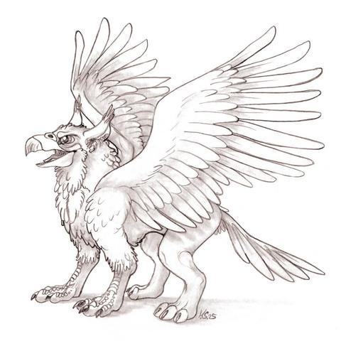 A pencil drawing showing a Gryphon with his wings spread, facing to the left and an open beak.