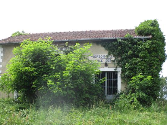 Vieux bâtiment abandonné du Service des Eaux de Vierzon, recouvert de végétation