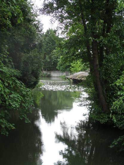 L'Yèvre, qui se jette dans le Cher, entourée d'arbres, au loin un ancien lavoir