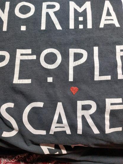 Das Bild zeigt einen Ausschnitt eines schwarzen, mit weißer Schrift bedruckten T-Shirts. Man erkennt die untereinander geschriebenen Worte "people" und "scare". Zwischen ihnen, etwas unterhalb des 2. P und etwas oberhalb des R ist ein kleines rotes Herz gestickt.
