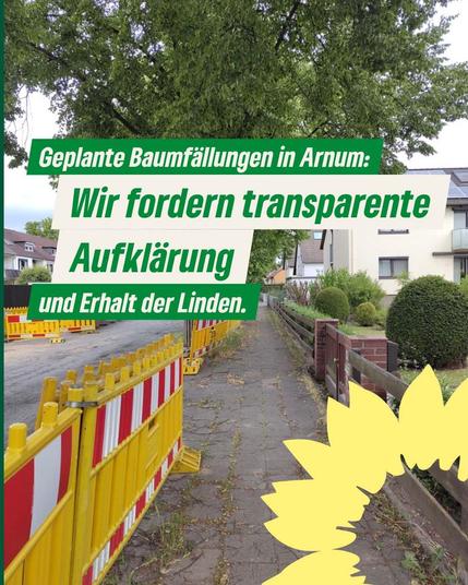 Text: Geplante Baumfällung in Arnum: Wir fordern transparente Aufklärung und Erhalt  der Linden. Der Blick geht auf dem Fußweg entlang, auf der linken Seite sind Baustellenbarken, dahinter die Linden. Auf der rechten Seite Vorgärten.