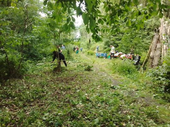 Bashing and slashing and hacking at, with some even hand pulling, mostly bramble, nettle and cleavers. Then raking and depositing on and around the log pile refuges/hibernicula (without obstructung the entrances).
Right of frame - one of our standing log piles.