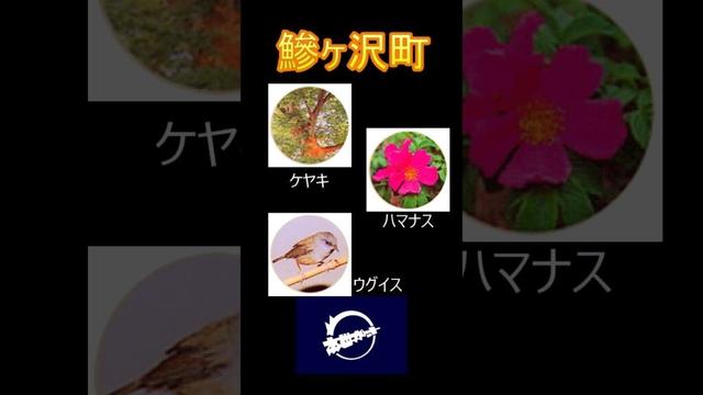 日本の市町村紹介～青森県鰺ヶ沢町～ #青森 #青森県 #鰺ヶ沢町 #鰺ヶ沢 #わさお