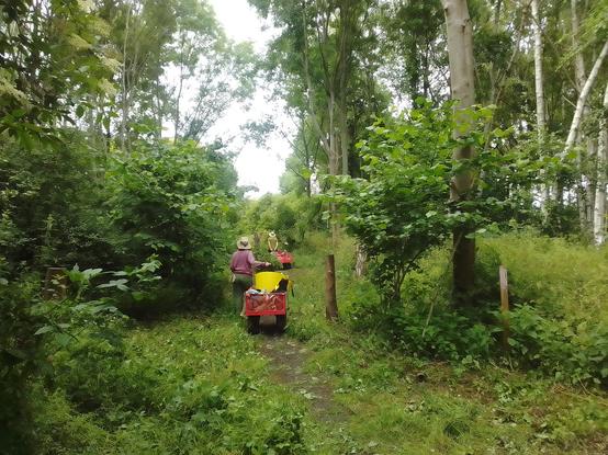 Pulling our trolleys along the beaten track on the way back to base. Both sides of the ride having been cleared back.