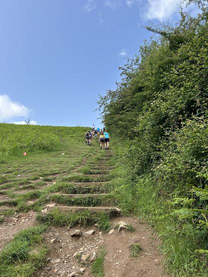 Photo of steep and long steps. Runners can be seen walking up them.