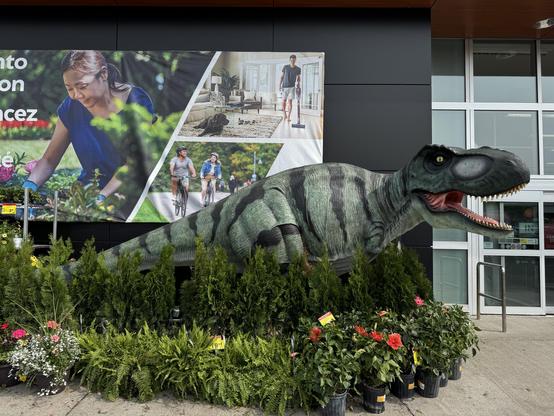 A huge lawn decoration outside a Canadian Tire store.
