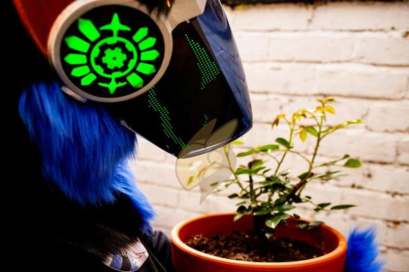 Close up photograph of a green LED protogen fursuit head with green LED lit side panels and black and blue fur with metallic silver and bronze plastics. The protogen is looking down and to the right at a small rose in a terracotta pot.