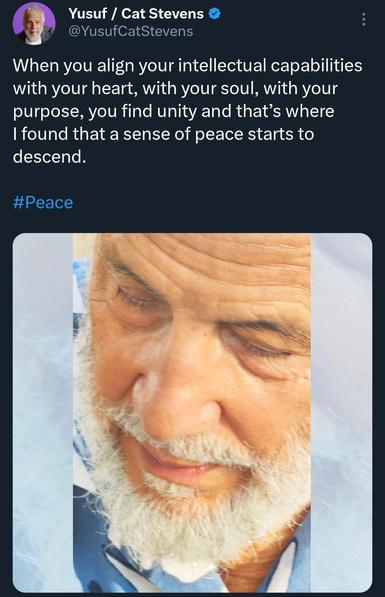 When you align your intellectual capabilities with your heart, with your soul, with your purpose, you find unity and that’s where I found that a sense of peace starts to descend.

#Peace https://x.com/YusufCatStevens/status/1931781717578182993?t=PoEx4Y-fymEYEbzfGKAT5g&s=19